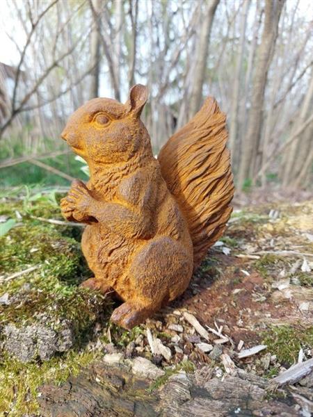 Grote foto beeld fine statue in cast metal squirrel 16 cm ijzer gegoten antiek en kunst curiosa en brocante