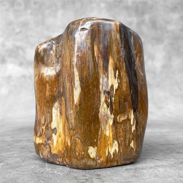 Grote foto geen minimumverkoopprijs volledig gepolijst versteend hout freeform gefossiliseerd hout petrif antiek en kunst curiosa en brocante