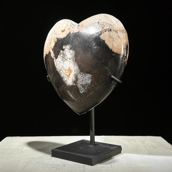Grote foto geen reserveprijs prachtig hartvormig van versteend hout op een aangepaste standaard gefossilise antiek en kunst curiosa en brocante