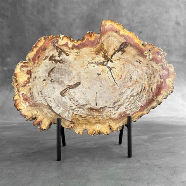 Grote foto geen reserveprijs prachtig stuk versteend hout op een standaard gefossiliseerd hout petrified antiek en kunst curiosa en brocante