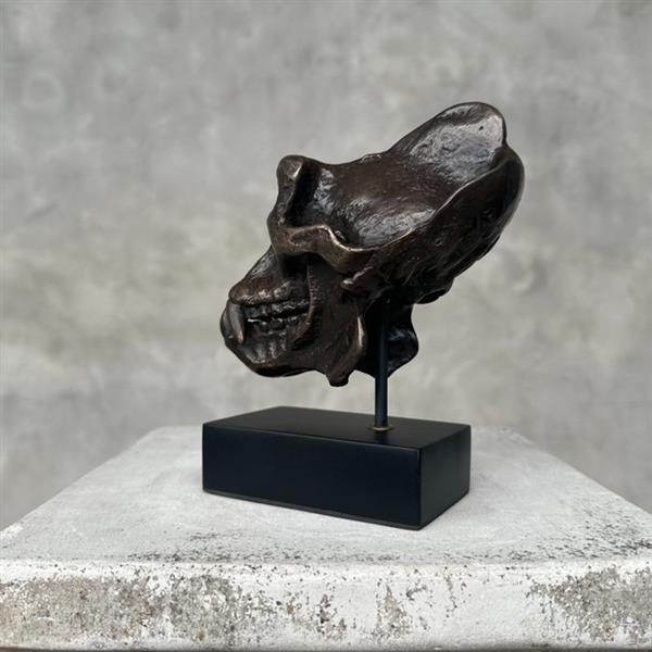 Grote foto sculptuur no reserve price gorilla skull sculpture 15 cm brons antiek en kunst curiosa en brocante