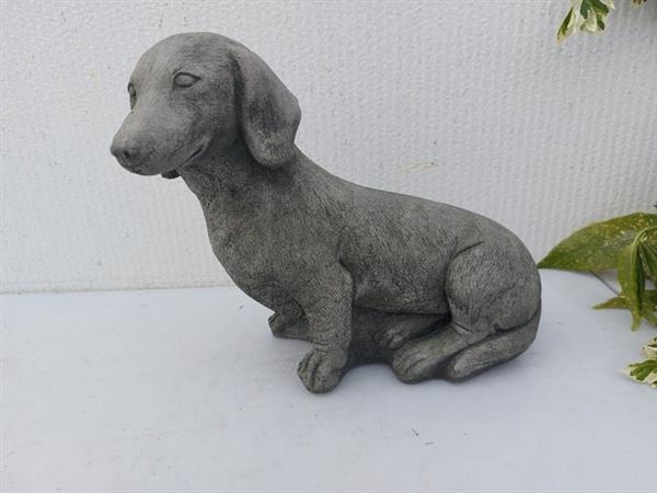 Grote foto beeld pub of a short haired dachshund 21 cm cast stone antiek en kunst curiosa en brocante