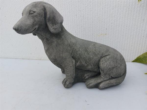 Grote foto beeld pub of a short haired dachshund 21 cm cast stone antiek en kunst curiosa en brocante