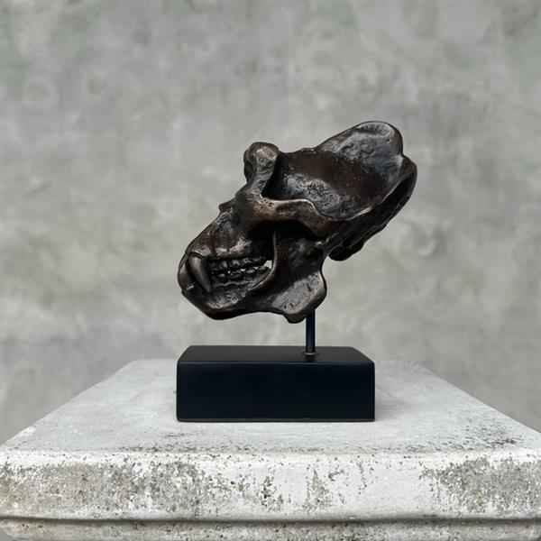 Grote foto sculptuur no reserve price gorilla skull sculpture 15 cm brons antiek en kunst curiosa en brocante