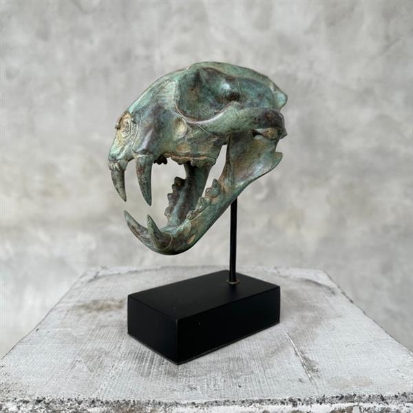 Grote foto sculptuur no reserve price patinated bronze snow leopard 19.5 cm brons antiek en kunst curiosa en brocante