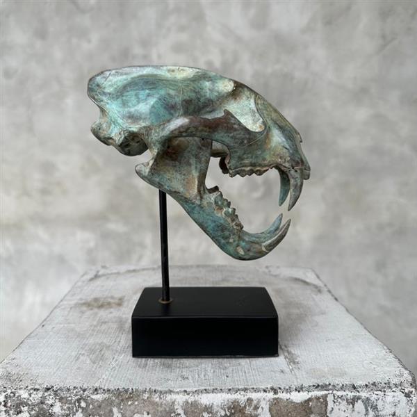 Grote foto sculptuur no reserve price patinated bronze snow leopard 19.5 cm brons antiek en kunst curiosa en brocante