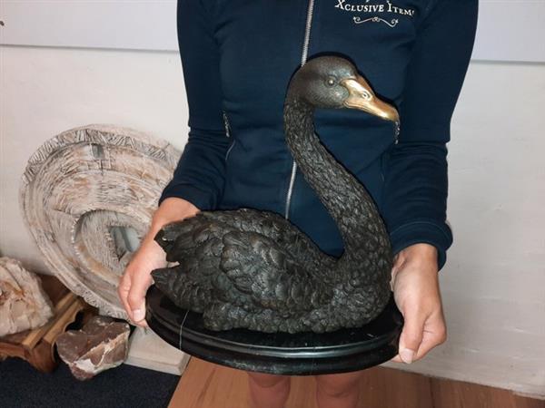 Grote foto beeld bronze swan 6.4kg 30.5 cm brons marmer antiek en kunst curiosa en brocante