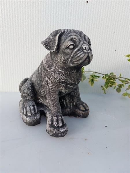 Grote foto beeld pub mopshond 21 cm cast stone antiek en kunst curiosa en brocante
