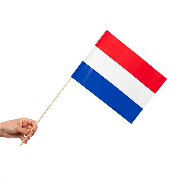 Grote foto nederland vlag 10st verzamelen overige verzamelingen