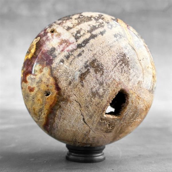 Grote foto geen minimumverkoopprijs prachtige bol van versteend hout op een aangepaste standaard gefossilis antiek en kunst curiosa en brocante