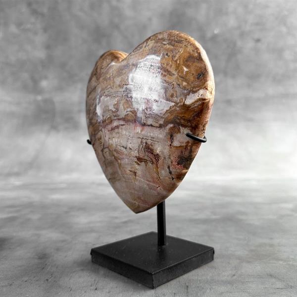 Grote foto geen reserveprijs prachtig hartvormig versteend hout op standaard gefossiliseerd hout petrifie antiek en kunst curiosa en brocante