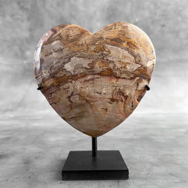 Grote foto geen reserveprijs prachtig hartvormig versteend hout op standaard gefossiliseerd hout petrifie antiek en kunst curiosa en brocante