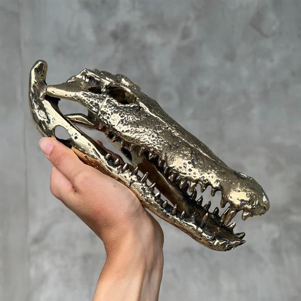 Grote foto sculptuur no reserve price polished bronze saltwater crocodile skull crocodylus porosus 5 cm antiek en kunst curiosa en brocante