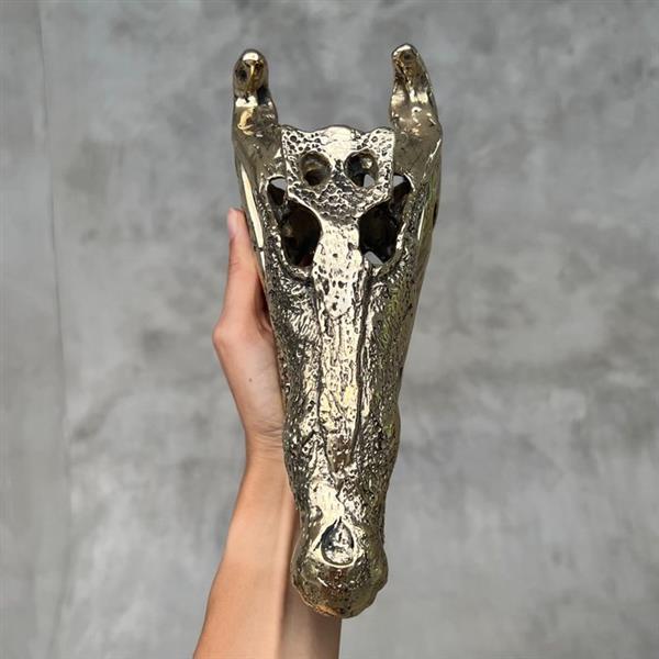 Grote foto sculptuur no reserve price polished bronze saltwater crocodile skull crocodylus porosus 5 cm antiek en kunst curiosa en brocante