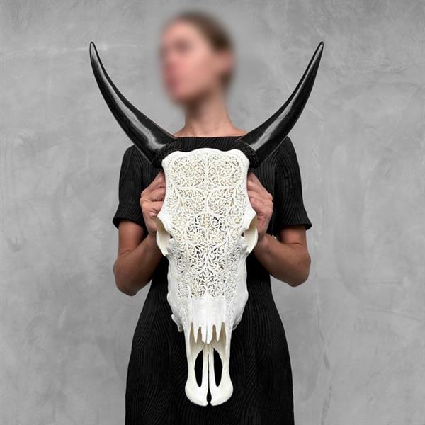 Grote foto geen reserve prijs handgesneden witte koeienschedel varenmotief gesneden schedel bos taurus antiek en kunst curiosa en brocante