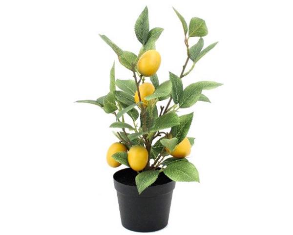 Grote foto decoratief ornament 2pcs artificial lemon tree pot azi antiek en kunst curiosa en brocante