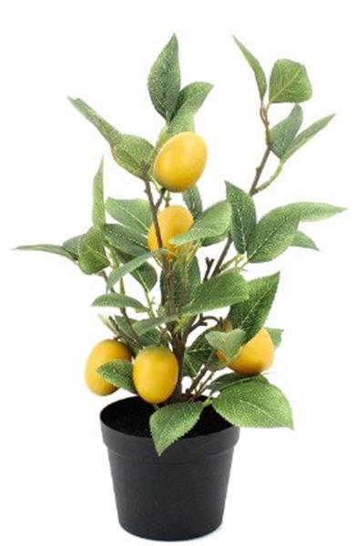 Grote foto decoratief ornament 2pcs artificial lemon tree pot azi antiek en kunst curiosa en brocante