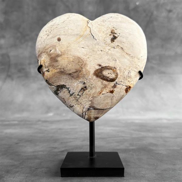 Grote foto geen reserveprijs prachtig hartvormig van versteend hout op een aangepaste standaard gefossilise antiek en kunst curiosa en brocante