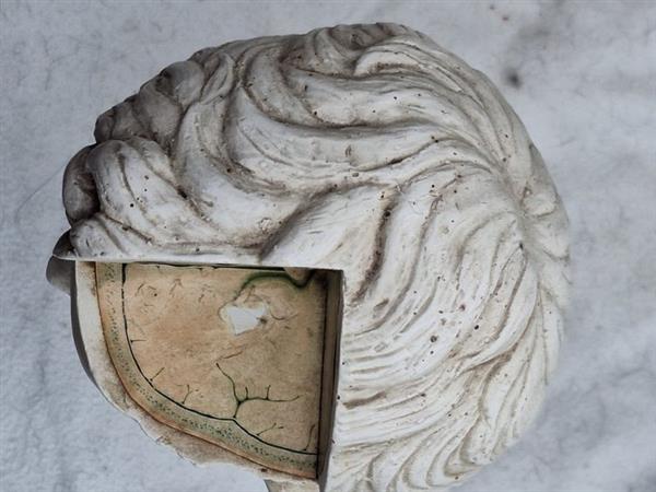 Grote foto svante dan jonsson roland klang buste caesar augustus met opengewerkte hersenen 35.3 cm antiek en kunst curiosa en brocante