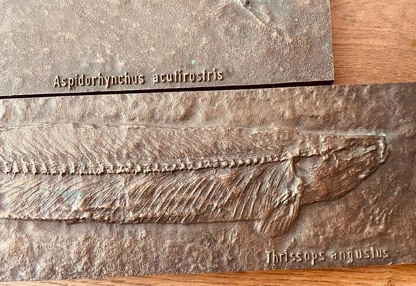 Grote foto strassacker plaque 2 brons antiek en kunst curiosa en brocante