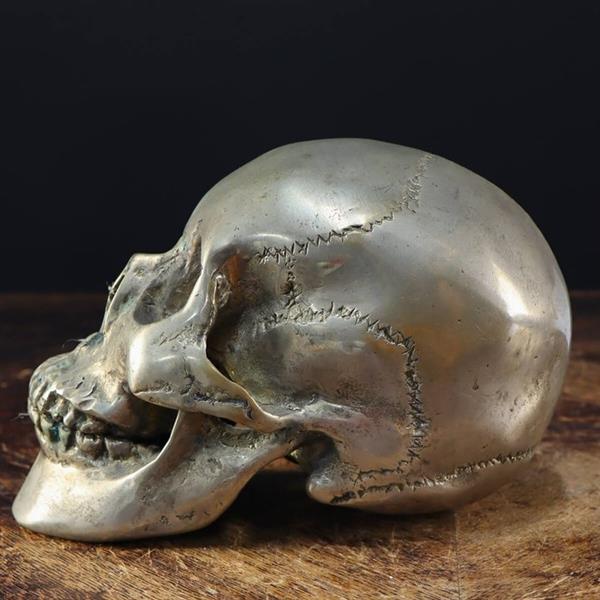 Grote foto replica schedel memento mori eind 20e eeuw itali antiek en kunst curiosa en brocante