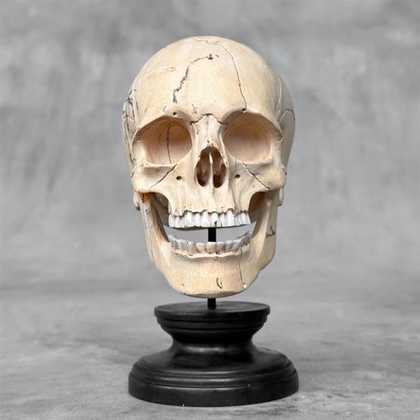 Grote foto snijwerk no reserve price stunning hand carved wooden human skull with a beautiful natural grain antiek en kunst curiosa en brocante