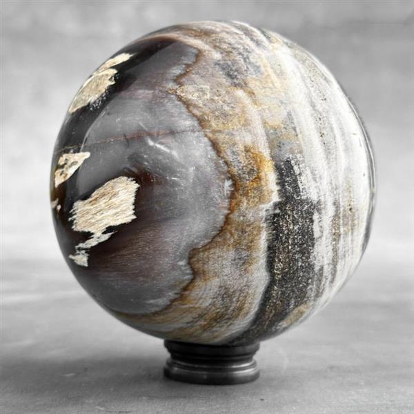 Grote foto geen reserveprijs prachtige versteende houten bol op een aangepaste standaard gefossiliseerd hou antiek en kunst curiosa en brocante