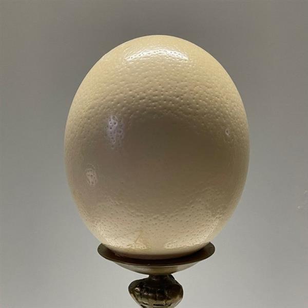 Grote foto sculptuur antiek struisvogelei op ornament 50 cm messing eierschaal antiek en kunst curiosa en brocante