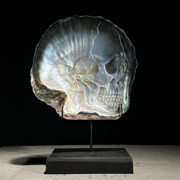 Grote foto geen reserveprijs parelmoerschelp met aangepaste standaard schedelreli fsnijwerk zeeschelp p antiek en kunst curiosa en brocante