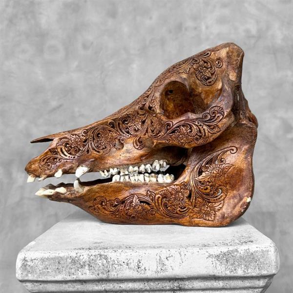 Grote foto geen reserveprijs ingewikkeld met de hand gesneden schedel van een wild zwijn ketupat motief g antiek en kunst curiosa en brocante