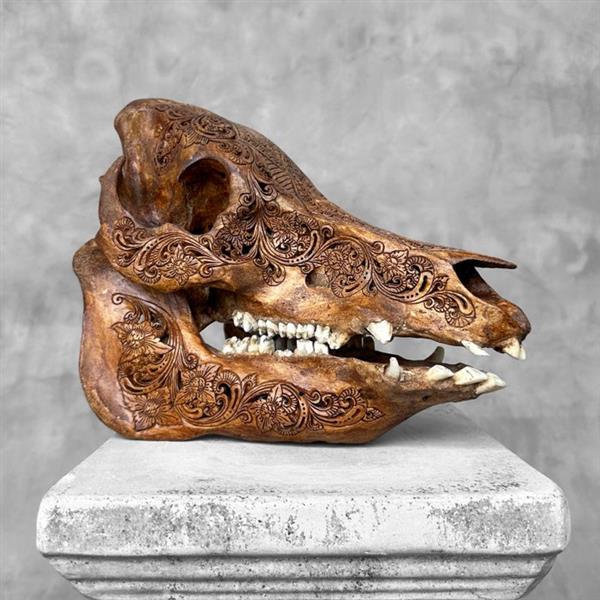Grote foto geen reserveprijs ingewikkeld met de hand gesneden schedel van een wild zwijn ketupat motief g antiek en kunst curiosa en brocante
