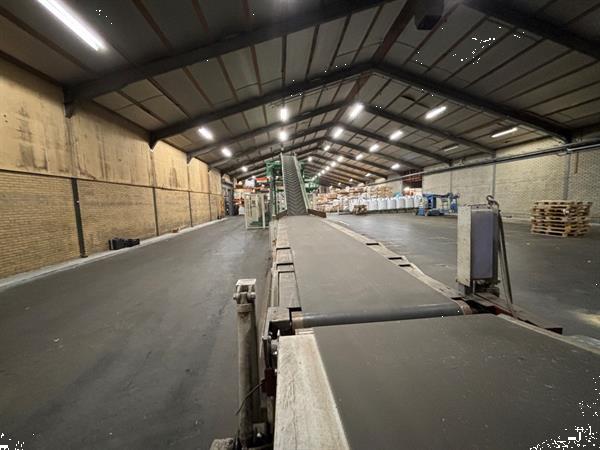 Grote foto newland conveyors mtc3x telescopische transportband voor het laden en lossen van containers agrarisch transportbanden