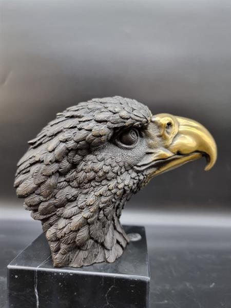 Grote foto beeld large bronze eagle head 21.5 cm brons marmer antiek en kunst curiosa en brocante