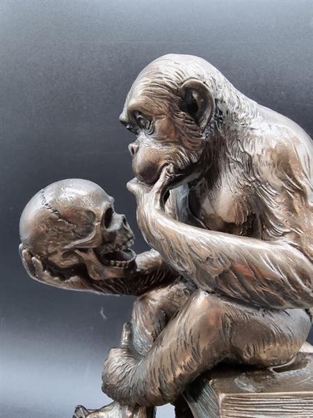 Grote foto beeld darwin monkey with skull 18 cm polystone koudbronsverf antiek en kunst curiosa en brocante