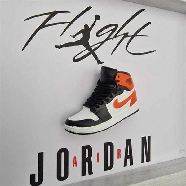 Grote foto lijst mini sneaker aj1 air jordan 1 shattered backboard ingelijst hout antiek en kunst curiosa en brocante