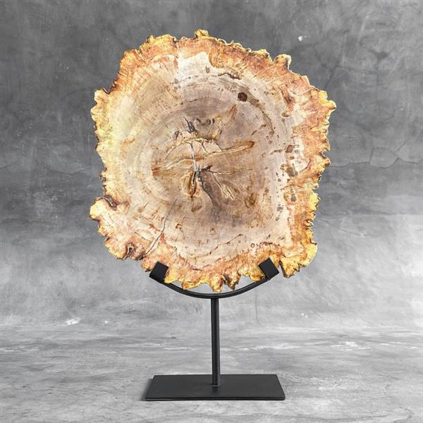 Grote foto geen resere prijs prachtig stuk versteend hout op een standaard gefossiliseerd hout petrified antiek en kunst curiosa en brocante