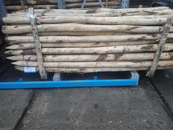 Grote foto kastanje palen kop 10 12 300 cm doe het zelf en verbouw hout en planken