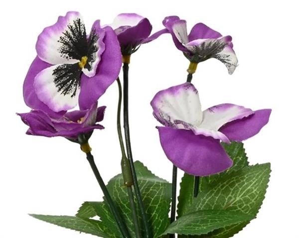 Grote foto actie viool viooltje zijdebloem paars rechtsboven op foto dia7.5cm h.18cm stuk viola zijdebloem verzamelen overige verzamelingen