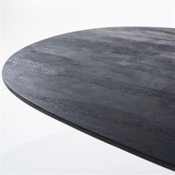 Grote foto eettafel aron ovaal 300x110 zwart huis en inrichting eettafels