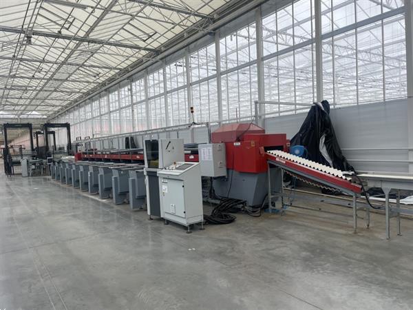 Grote foto aweta gsm 10 komkommersorteermachine met kistenafvoersysteem agrarisch tuinbouw