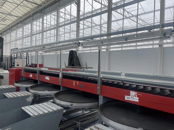 Grote foto aweta gsm 10 komkommersorteermachine met kistenafvoersysteem agrarisch tuinbouw