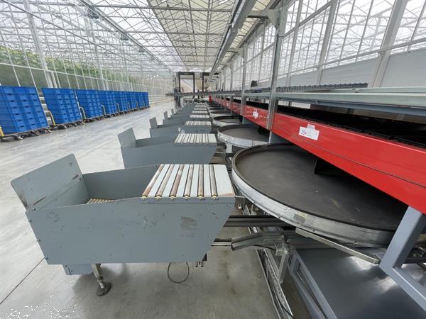 Grote foto aweta gsm 10 komkommersorteermachine met kistenafvoersysteem agrarisch tuinbouw