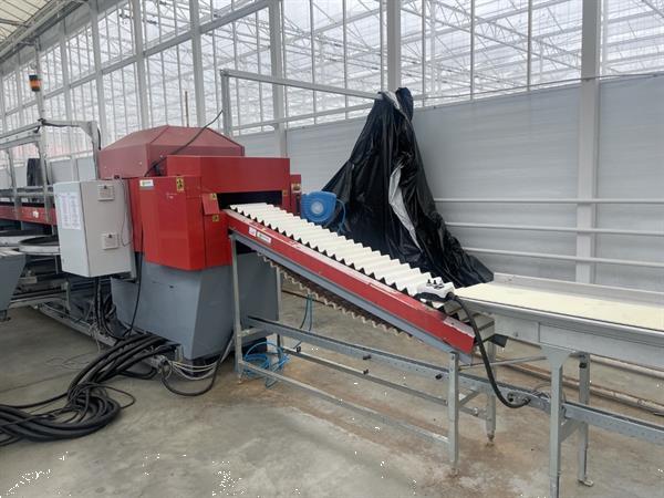 Grote foto aweta gsm 10 komkommersorteermachine met kistenafvoersysteem agrarisch tuinbouw