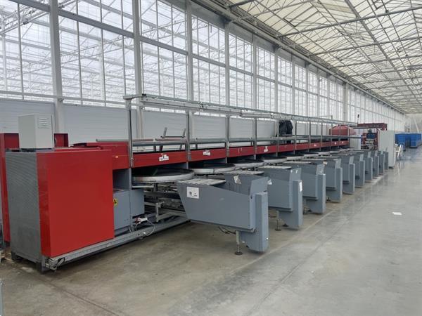 Grote foto aweta gsm 10 komkommersorteermachine met kistenafvoersysteem agrarisch tuinbouw