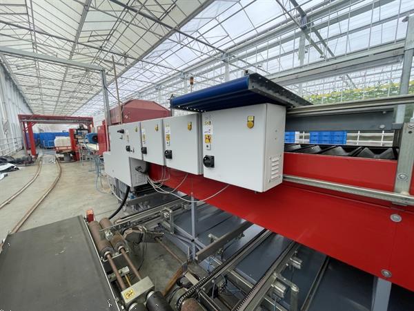 Grote foto aweta gsm 10 komkommersorteermachine met kistenafvoersysteem agrarisch tuinbouw