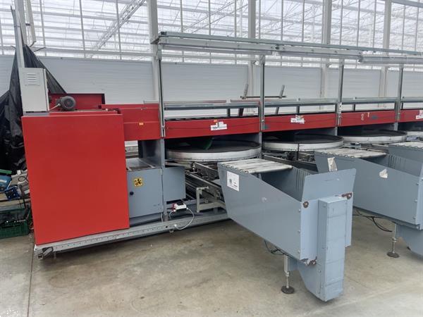 Grote foto aweta gsm 10 komkommersorteermachine met kistenafvoersysteem agrarisch tuinbouw