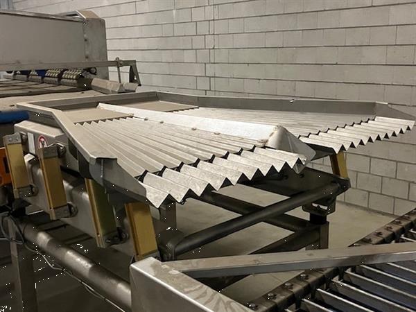 Grote foto mushroom sorting machine demo agrarisch tuinbouw