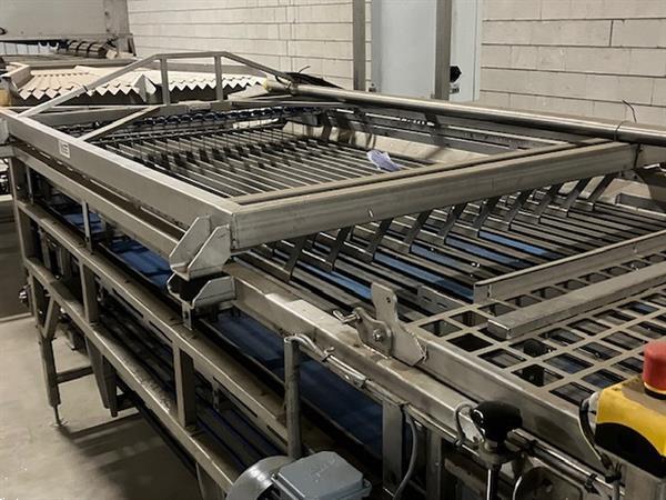 Grote foto mushroom sorting machine demo agrarisch tuinbouw