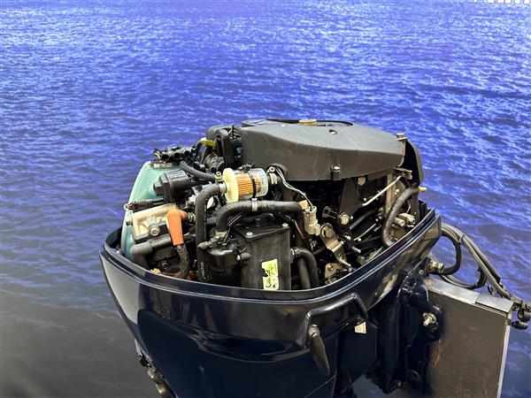 Grote foto evinrude 50 pk buitenboordmotor langstaart powertrim watersport en boten buiten en binnenboordmotoren