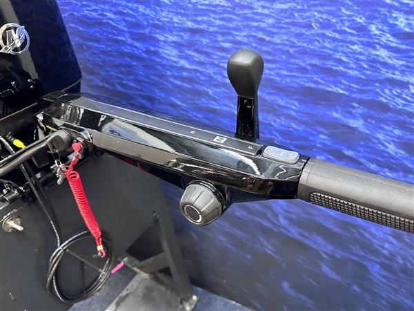 Grote foto mercury 60pk f60 elhpt big tiller watersport en boten buiten en binnenboordmotoren